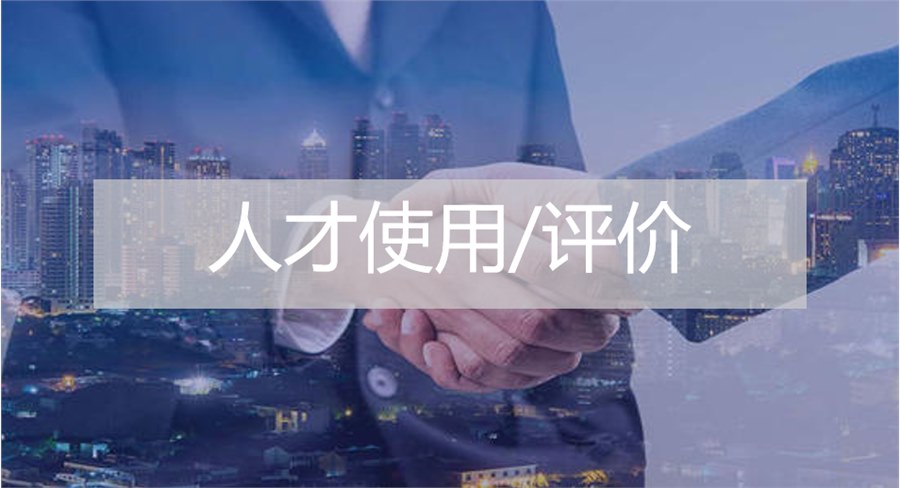 人才使用/评价
